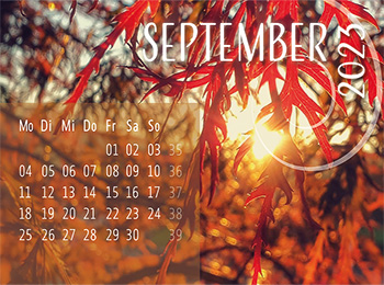 23sept.jpg